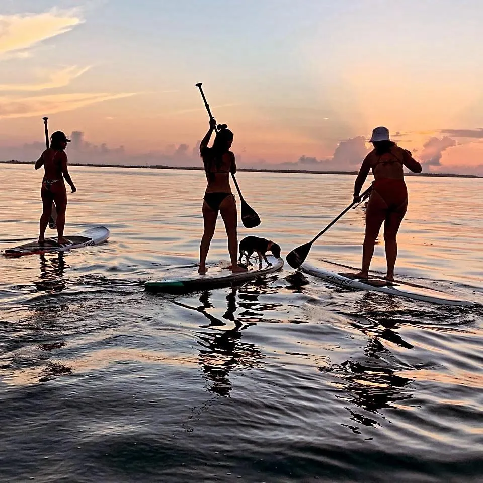 On The Beach Surfers Sunrise Haven 1 Cancun